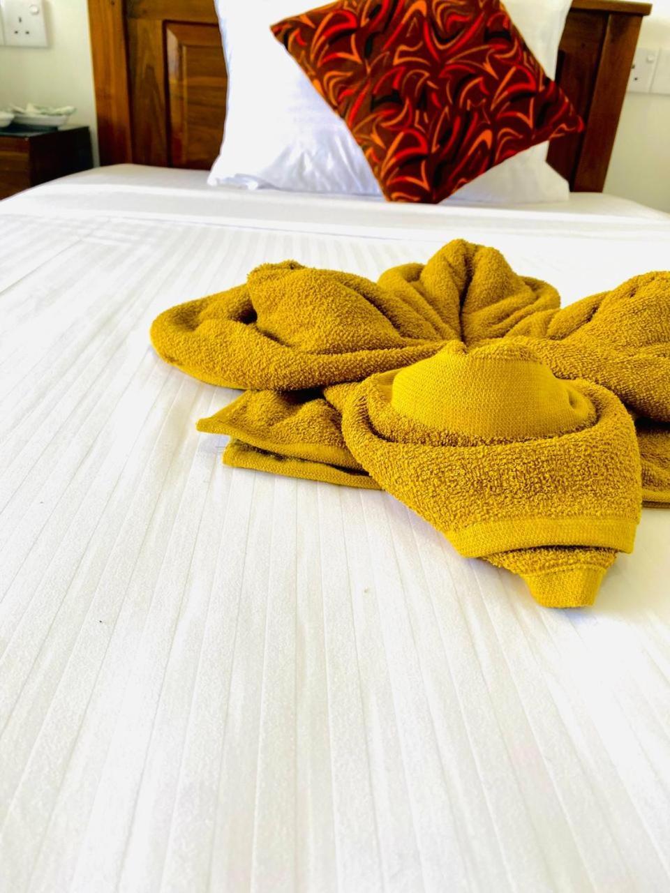 엘라 Pleasant Peak B&B 외부 사진